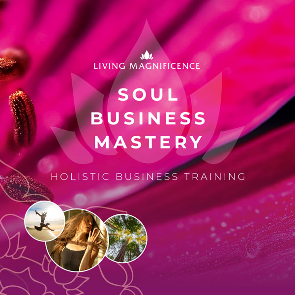 Soul Business Mastery